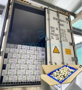 Loading seafood products into export container in Vietnam