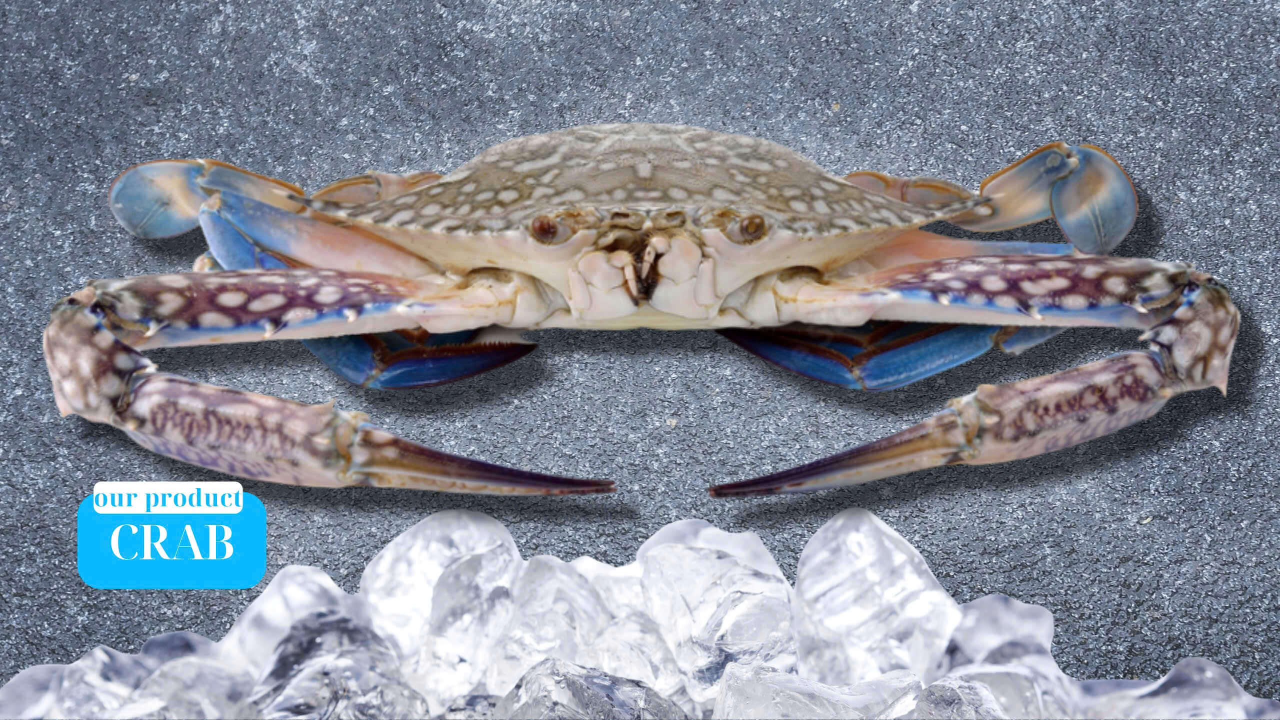 Fresh Crab Meat and Breaded Baby Crab from Vietnam Seafood Supplier