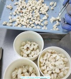 Workers producing canned swimming crab meat in Vietnam