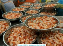 Vietnam Factory Processing Frozen Cooked PDTO Vannamei Shrimp