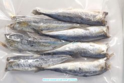 Dried Boiled Round Scad vacuum-packed for export from Vietnam