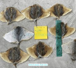 Dried Moon Fish finished product after drying in Vietnam