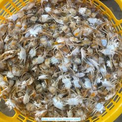 Frozen Baby Crab after shell removal processed in Vietnam