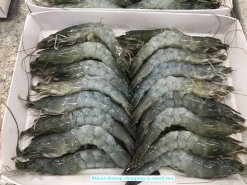 Finished packaging of Frozen Raw Hoso Body Peel Vannamei Shrimp - Bikini Style in Vietnam