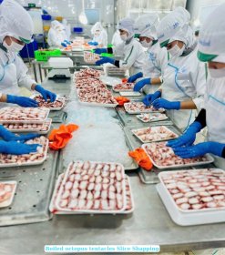 Frozen Boiled Giant Octopus Tentacles Slice Sushi Processing in Vietnam Seafood Factory