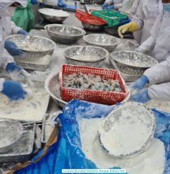 Vietnam Frozen Breaded Butterfly And PDTO Shrimp in Production Line