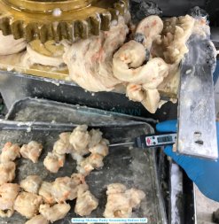 Frozen Breaded Shrimp Burger Vietnam Production Line