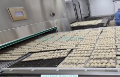 Frozen Coconut Butterfly And PDTO Shrimp on IQF Processing Line in Vietnam