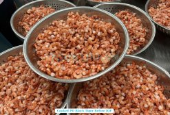 Vietnam Frozen Cooked PD Black Tiger Shrimp After Cooking
