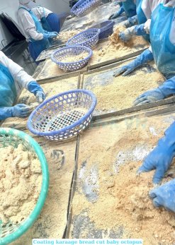 Vietnam Frozen Cut Baby Octopus Karaage Factory Production