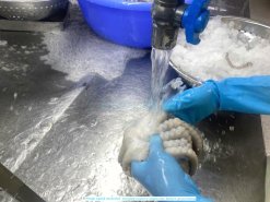 Vietnam Frozen Cut Poulp Squid Block (Frozen Mada Cut Block) Processing by Skilled Workers