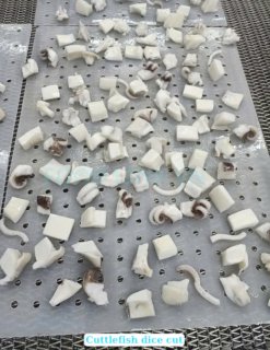 Vietnam Frozen Cuttlefish Dice Cut After IQF Freezing