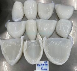 Vietnam Frozen Cuttlefish Fillet Pre-IQF Preparation