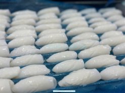 Vietnam Frozen Cuttlefish Fillet Pine Tree Cut Before IQF Freezing