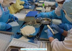 Frozen Filo Shrimp Being Processed by Workers in Vietnam
