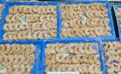 Frozen Fritter Shrimp Prepared Before IQF Freezing in Vietnam