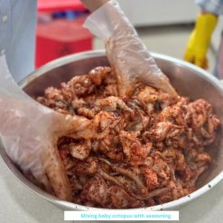 Vietnam Frozen Grill Seasoned Cut Octopus Marination Process