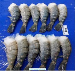 Vietnam Raw HLSO, EZP and Butterfly Scampi Shrimp Before IQF