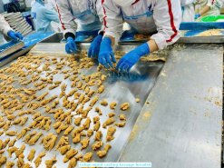 Vietnam Frozen Loligo Squid Ring Karaage Processing by Factory Workers