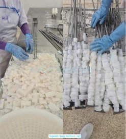 Vietnam Frozen Loligo Squid Ring Being Processed in Factory