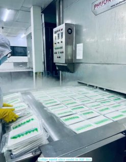 Vietnam Frozen Loligo Squid Fillet Slice Sushi on IQF Conveyor Line – Step 1