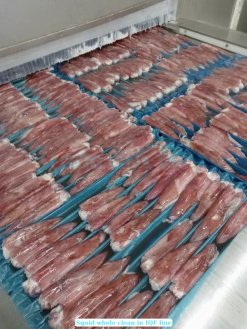 Vietnam Frozen Whole Clean Loligo Squid on IQF Processing Line