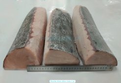 Vietnam Frozen Marlin Loin And Chunk After Cutting