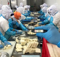 Frozen Menbosha Shrimp Production by Skilled Workers in Vietnam
