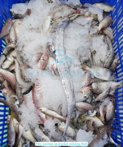 Frozen Mix Surimi raw materials sourced and prepared in Vietnam