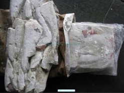 Frozen Atlantic And Pacific Cod raw material produced in Vietnam