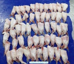Frozen Pangasius Fin (Swai Fish) Processing at Vietnam Seafood Factory