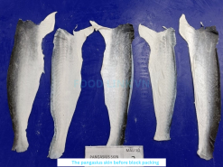 Vietnam Frozen Pangasius Skin Before IQF Freezing – Sample 1
