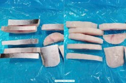 Frozen Pangasius Slice Skin On (Swai Fish) from Vietnam – IQF Processed Stage