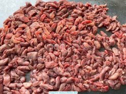 Raw Pangasius Stomach (Swai Fish) Before Freezing in Vietnam Factory