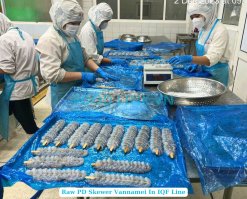 Processing Frozen Raw PD And PDTO Skewer Vannamei Shrimp in Vietnam Factory