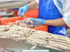 Vietnam Frozen Pre Cooked Yellowfin Tuna Production Process