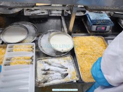 Workers Processing Frozen Breaded Head On Shrimp in Vietnam Factory