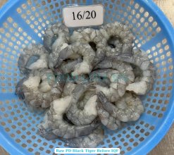 Vietnam Frozen Raw PD Black Tiger Shrimp Before IQF Freezing