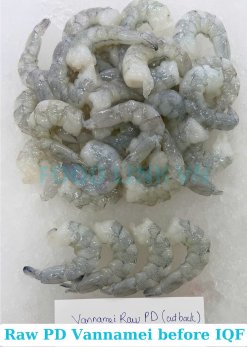 Vietnam Frozen Raw Pd Vannamei Shrimp Before IQF Processing