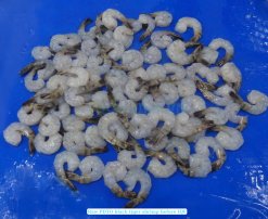 Vietnam Frozen Raw PDTO Black Tiger Shrimp Before IQF Freezing