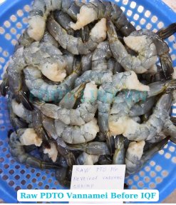 Frozen Raw Pdto Vannamei Shrimp Before IQF Processing in Vietnam
