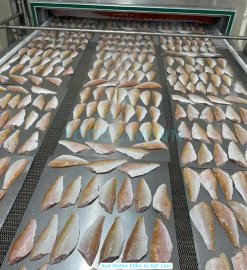 Vietnam Frozen Red Mullet Fillet on IQF Processing Line