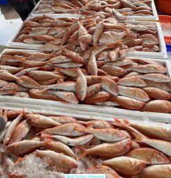 Vietnam Frozen Red Mullet Whole Clean during processing at seafood factory