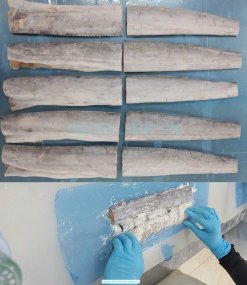 Vietnam Frozen Ribbon Fish Portion And Steak after cutting process