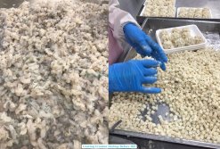 Processing Frozen Shrimp Cubic Crouton in Vietnam Seafood Factory