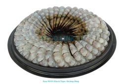 Vietnam Frozen Shrimp Ring With And Without Sauce Raw PDTO Shrimp After IQF Processing