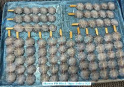 Vietnam Frozen Raw PD And PDTO Skewer Black Tiger Shrimp Before IQF Freezing