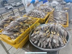 Vietnam Frozen Skewer Poulp Squid (Frozen Mada Skewer) Being Processed by Skilled Workers