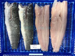 Vietnam Frozen Snakehead Fish Fillet after cutting and cleaning process