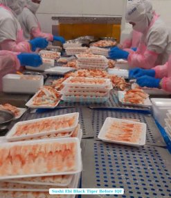 Vietnam Frozen Sushi Ebi Black Tiger Shrimp Production Line